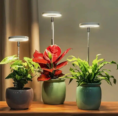 Full Spectrum Plantverlichting