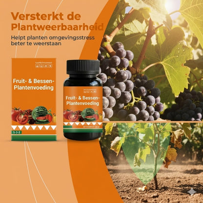 Fruit- en bessenplantenvoeding