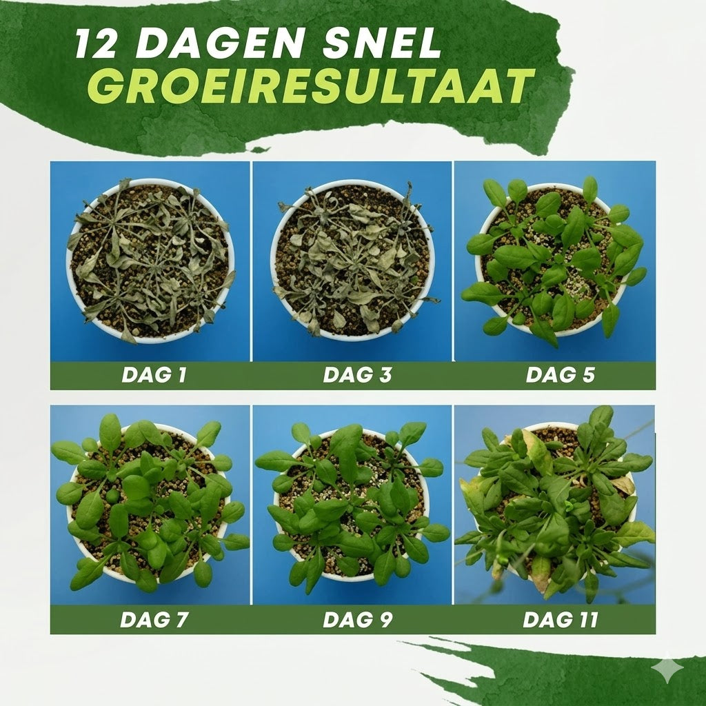 Plantenvoedingsoplossing