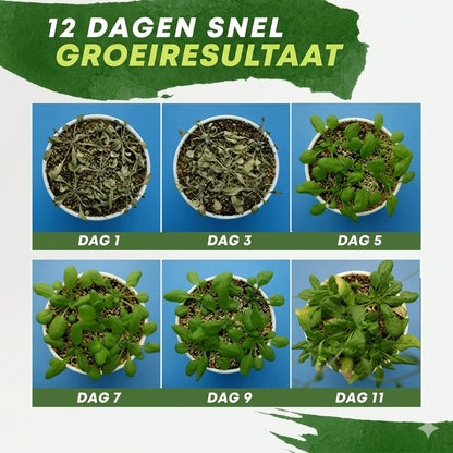 Plantenvoedingsoplossing
