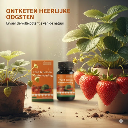 Fruit- en bessenplantenvoeding