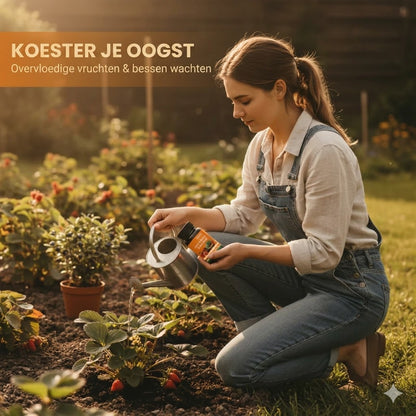 Fruit- en bessenplantenvoeding