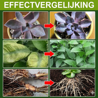 Plantenvoedingsoplossing