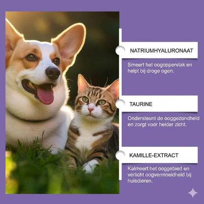 Milde oogspoeling voor honden en katten