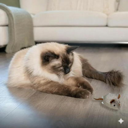 RealistischInteractief PlucheKattenspeeltje