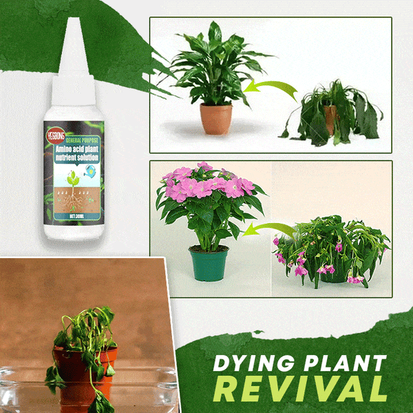 Plantenvoedingsoplossing