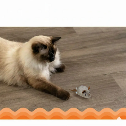 RealistischInteractief PlucheKattenspeeltje
