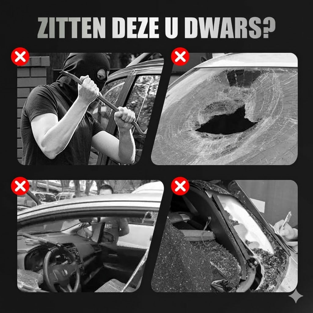 Auto Beveiligingslicht op Zonne-energie (2 Stuks)