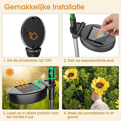 Waterdichte zonne-energie lampen（3 Zonnebloemlampen）