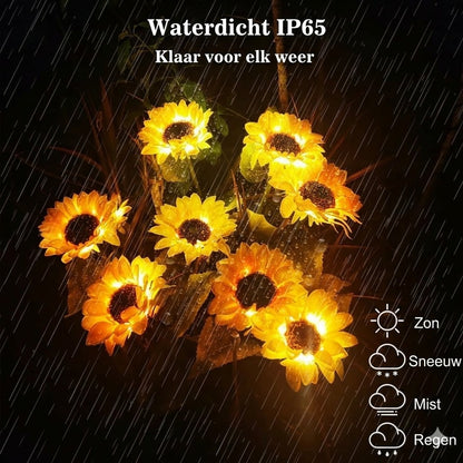 Waterdichte zonne-energie lampen（3 Zonnebloemlampen）