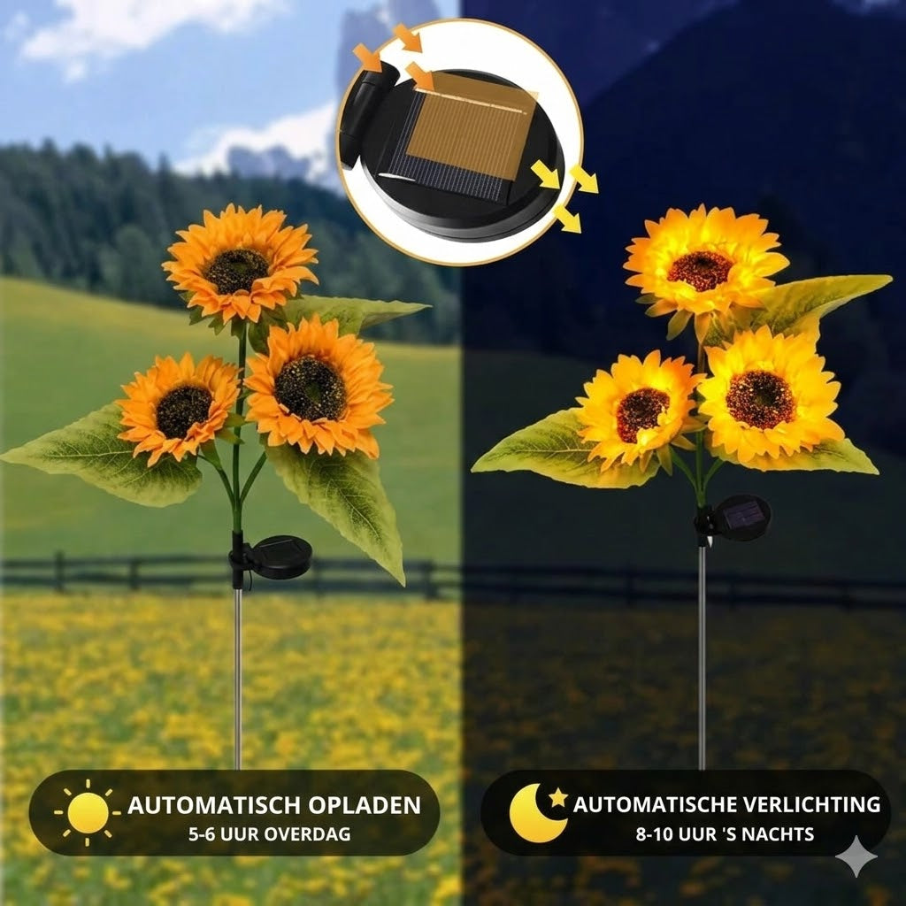 Waterdichte zonne-energie lampen（3 Zonnebloemlampen）