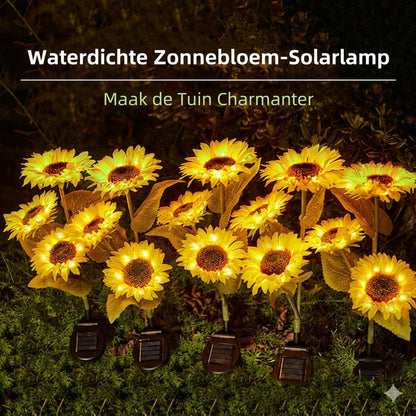 Waterdichte zonne-energie lampen（3 Zonnebloemlampen）